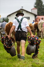 Alpine herdsman carrying cowbells