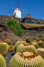 View of old windmill of Guatiza at the edge of former quarry today cactus garden Jardin de Cactus