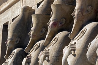 Osirian statues at the Mortuary Temple of Queen Hatshepsut