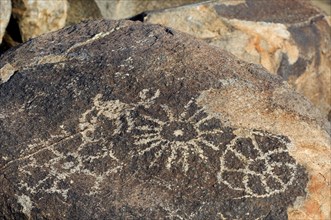 Rock art at Signal Hill in the Tucson Mountains
