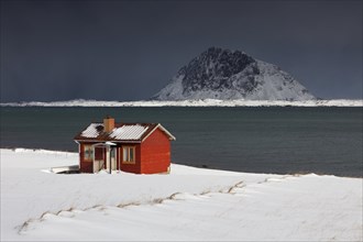 Red isolated wooden cabin along the coast in the snow in winter