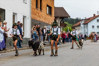 Group of Alpine children leading goats