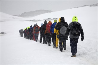 Tourists walking in line in the snow on Barrientos Island