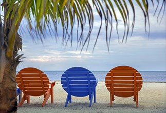Colorful round wooden beach chairs at holiday resort on Caye Caulker
