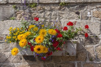Flower box with colourful summer flowers in front of sandstone wall