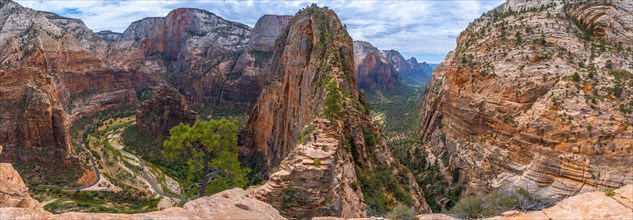 Panoramic of the Zion Canyon seen from the Angels Landing Trail high up in the mountain in Zion National Park