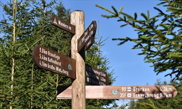 Signposts in the Harz Mountains