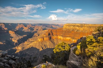 Panoramic at Sunset at the Pima Point of Grand Canyon and Rio Colorado in the background. Arizona