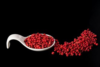 White ceramic spoon with pink peppercorns isolated on black background and copy space