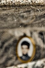 Spider's web on a tombstone in front of a blurred photo Medailion of the deceased in a cemetery