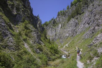 Hiking trail in the Oetschergraben