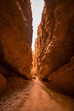 Beginning of the Navajo Loop Trail trail in Bryce National Park