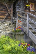 Old alpine hut with flowers on the Fane Alm