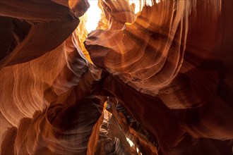 A wonderful look up at Upper Antelope in the town of Page