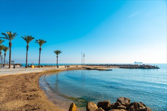 Beach with palm trees in the coastal town of Torrevieja next to the Playa del Cura