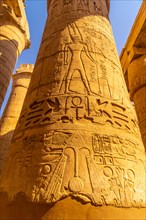 Giant columns of the temple of Karnak