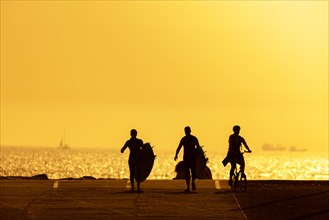 Black silhouettes of young sportsmen walking with surfing boards and driving a bicycle at sunset. Mid shot