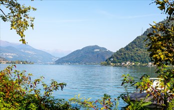 Lake Lugano and Mountain with Tree Branch in a Sunny Summer Day in Ticino