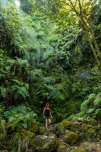 Walking in the great green natural vegetation of the Levada do Caldeirao Verde trail