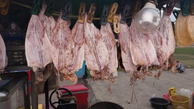 Meuk kream or khmer dried squid sold in a traditional food stall in Cambodia