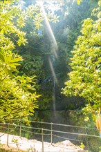 A small waterfall in summer at the Levada do Caldeirao Verde