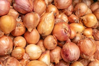 Onions at the Farmers Market in the Madeira city of Funchal. Portugal