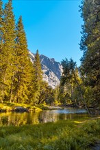 Lovely walk to walk in Yosemite valley. California