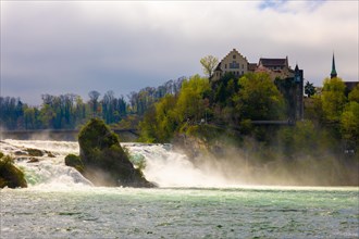 Rhine Falls and Swiss Flag with the Castle Laufen at Neuhausen