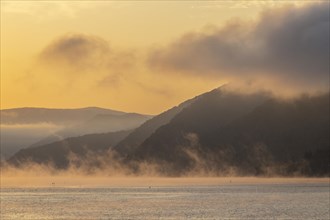 Morning Fog on the Danube