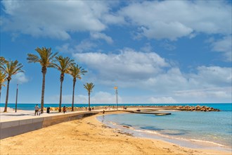 Beach with palm trees in the coastal city of Torrevieja