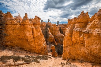 Giant eroded stones on the Queens Garden Trail in Bryce National Park