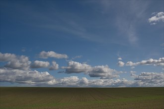 Field and blue sky near Goerke