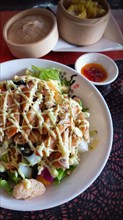 Close up to a classic chicken salad and steamed sui mai or dumplings
