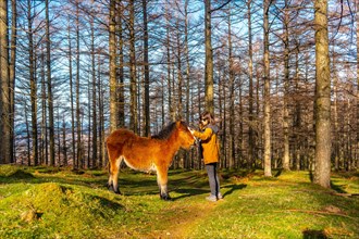 A young hiker stroking wild horses in the Oianleku forest