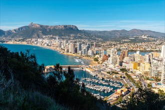 Maritime port seen from the Penon de Ifach Natural Park in the city of Calpe