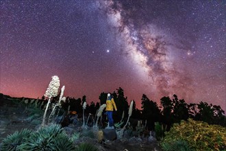 One of the best Milky Ways in the world in the Caldera de Taburiente near Roque de los Muchahos on the island of La Palma
