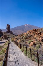 Tourist trail between the Roques de Gracia and the Roque Cinchado in the natural area of Teide in Tenerife
