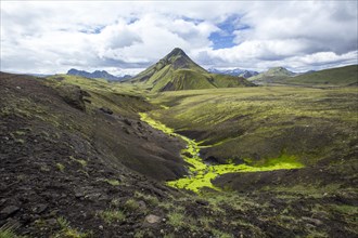 A green mountain and a river of moss on the 54 km trek from Landmannalaugar