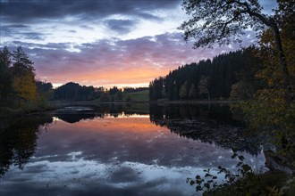 The Hengelesweiher lake in the Hengelesweiher nature reserve at sunset in autumn. The lake is surrounded by forest. The sky with coloured clouds is reflected in the water. Isny im Allgaeu