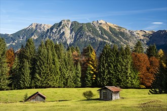 Landscape in the Allgaeu. A meadow with two small wooden huts