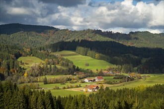 Landscape in the Allgaeu in autumn with meadows