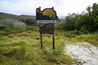 Game sign