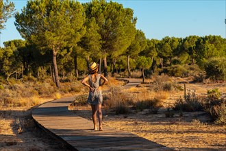 A young woman on the wooden walkway taking a walk inside the Donana Natural Park