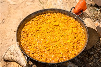 Valencian paella made on wood and vegetable embers. Traditional Spanish food