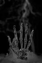 Skeleton hand in front of artificial cobwebs