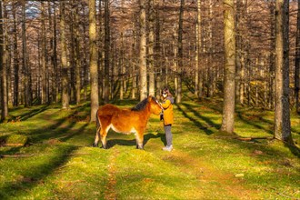 A young hiker stroking wild horses in the Oianleku beech forest