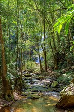 Rainforest and calm river with waterfall hidden behind trees in the state of Minas Gerais