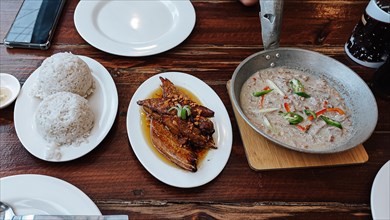 Tuna adobo and tuna bicol express served with steamed rice