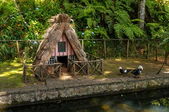 Traditional house on the duck pond at the start of the Levada do Caldeirao Verde