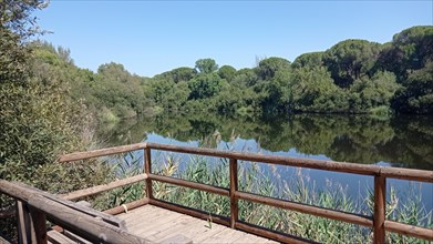 Viewpoint at the Acebron pond in the Donana natural park at sunset. Huelva